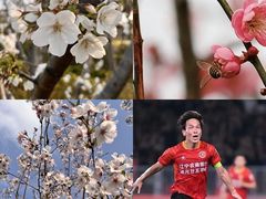 -上海体育场