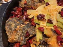 -老板恋上鱼(印象城店)