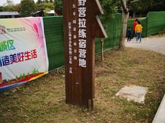 -东平国家森林公园