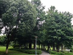 -长广溪湿地公园