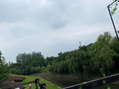 -合肥三国新城遗址公园