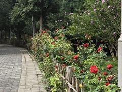 -东升八家郊野公园