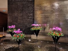 -广州富力君悦大酒店·凯菲厅