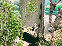-青藏高原野生动物园