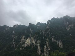 -王顺山国家森林公园