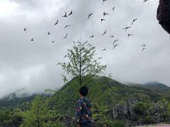 -千岛湖石林