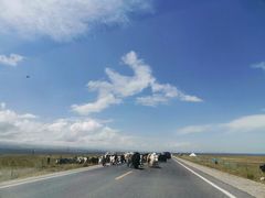 -青海湖国家重点风景名胜区