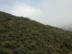 -杭州半山国家森林公园