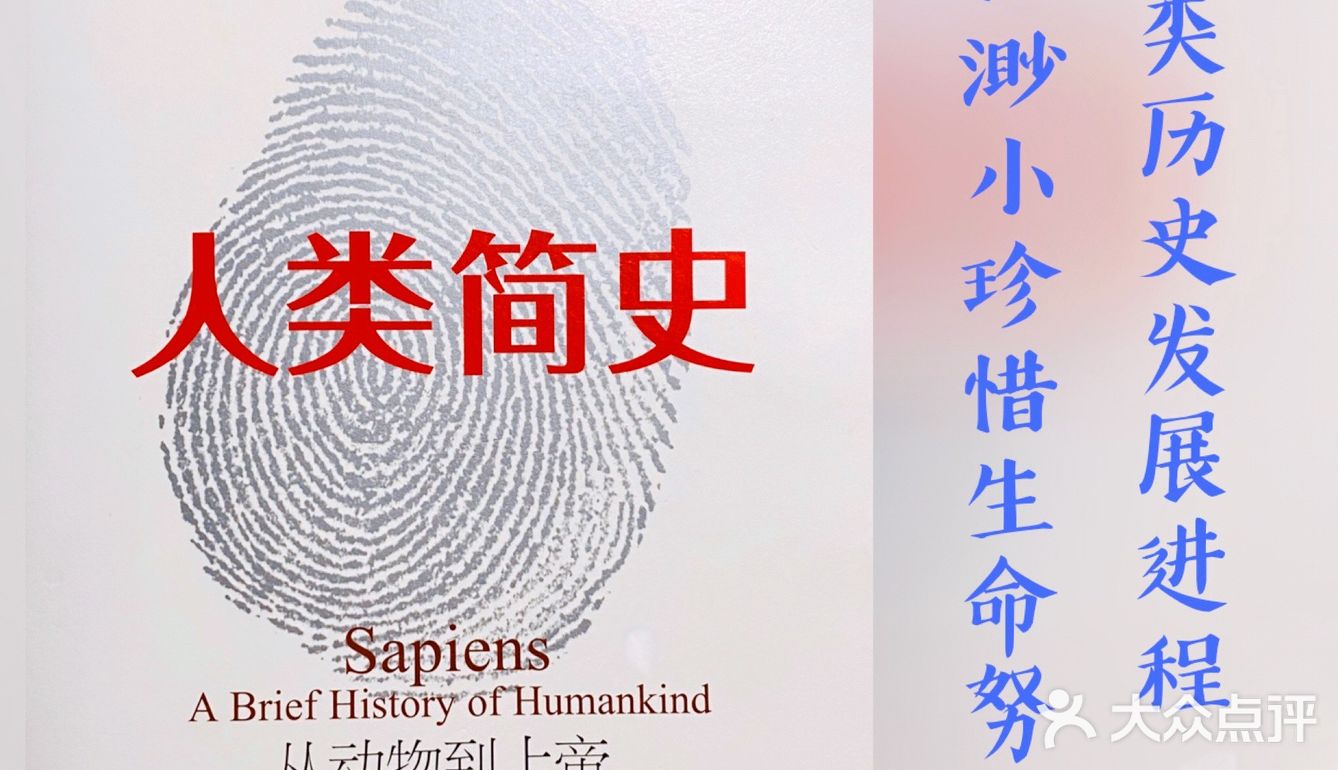 不焦虑不迷茫做更好的自己