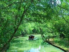 -同里国家湿地公园