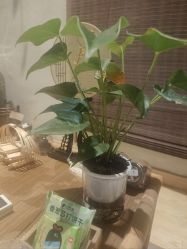 -香秀空间科技抗衰·美容中心
