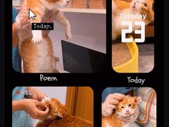 -博特宠物医院24h犬猫全科.骨科·异宠