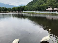 -大九湖