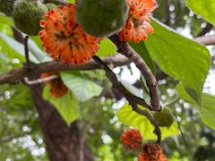 -天津盘山风景名胜区