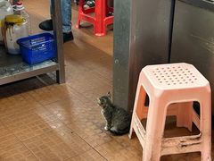 -车头老二大排档