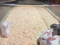 -正佳雨林生态植物园