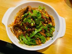 筷子牛肉-付小姐在成都(五道口店)