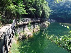 -龙湾潭国家森林公园