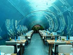 -海棠湾洲际-涛·海底餐厅·美人鱼·自助餐·海底隧道