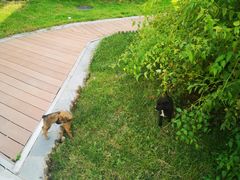 -北京园博大酒店