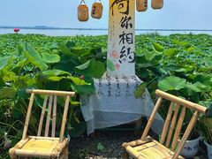 -七的湖·晚芳亭·阳澄湖农家菜·大闸蟹(莲花岛店)
