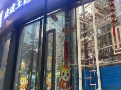 -PIPIKINGDOM皮皮王国欢乐号(欢乐海岸购物中心店)