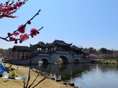 -上海海湾国家森林公园