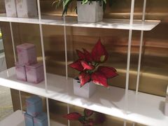 -奈雪的茶(新天地广场PRO店)