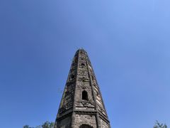 -上海佘山国家森林公园天马山园