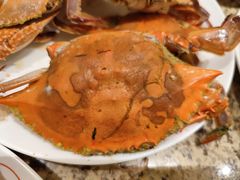 梭子蟹-禾斗海鲜自助(市南银座店)