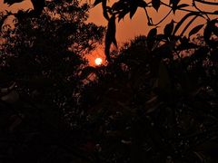 -火炉山森林公园