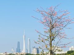 -海珠湖公园