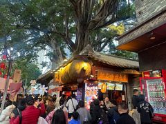 -越秀西湖花市(广州城市广场花卉店)