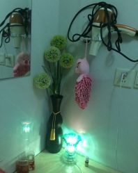 -奥丽维娅美容养生会所