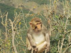 -重庆云阳龙缸景区