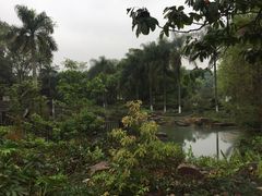 -广西壮族自治区药用植物园