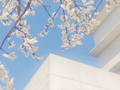 -南京信息职业技术学院