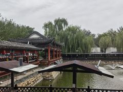 -尚庄度假村·庭台树下·户外烧烤·团建CS·轰趴营地(上庄水库店)
