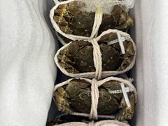 -阳澄湖大闸蟹·琼灵阁牌品牌连锁(吴中总店)