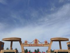 -金塔沙漠胡杨林景区