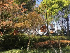 -重庆彩云湖湿地公园