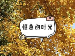 -石家庄市植物园