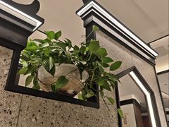 -小菜园新徽菜(合肥天鹅湖万达店)