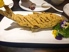 -老牌坊鲁菜名店(聊城美食岛店)