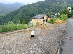-井空里大峡谷