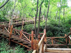 -大岭沟猕猴桃谷风景区