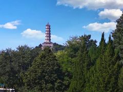-北坞公园