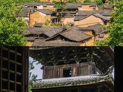 -杨家堂村