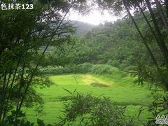 -广州市帽峰山景区