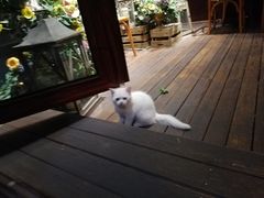 -IFIF 如果花園(宽厚里店)